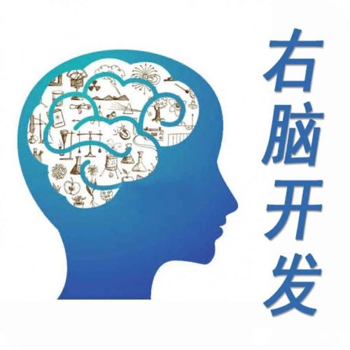 “開發(fā)右腦”真相大揭秘 別讓“神童夢”蒙蔽雙眼